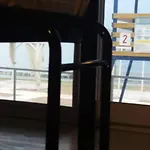 Пальма Хостел Odessa