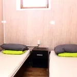 Пальма Хостел Auberge de jeunesse Odessa