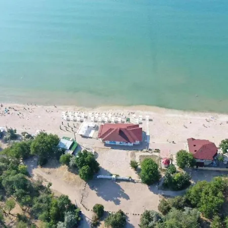 Hostel Пальма Хостел Odessa