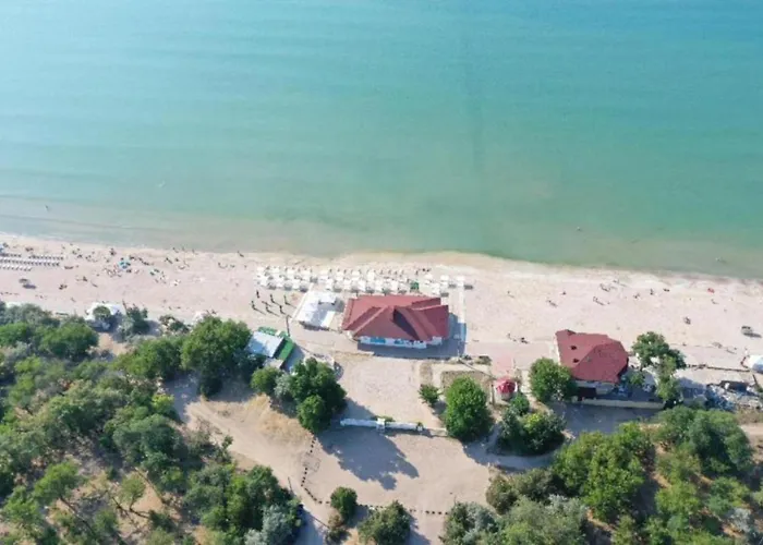 Hostel Пальма Хостел Odesa