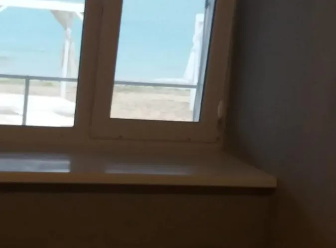 Пальма Хостел 旅馆